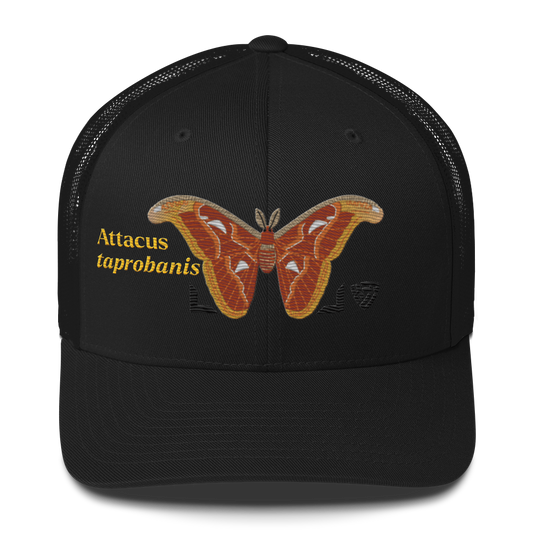 Atlas Moth "Attacus taprobanis" Embroidered Black Trucker Hat Front Mockup