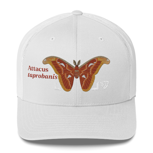 Atlas Moth "Attacus taprobanis" Embroidered White Trucker Hat Front Mockup