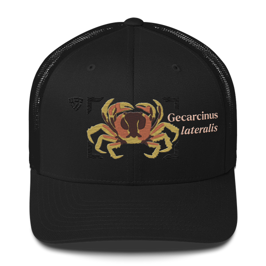 Blackback Land Crab "Gecarcinus lateralis" Embroidered Black Trucker Hat Front Mockup