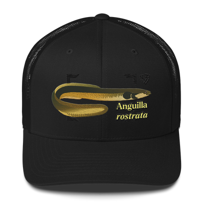 American Eel "Anguilla rostrata" Embroidered Black Trucker Hat Front Mockup