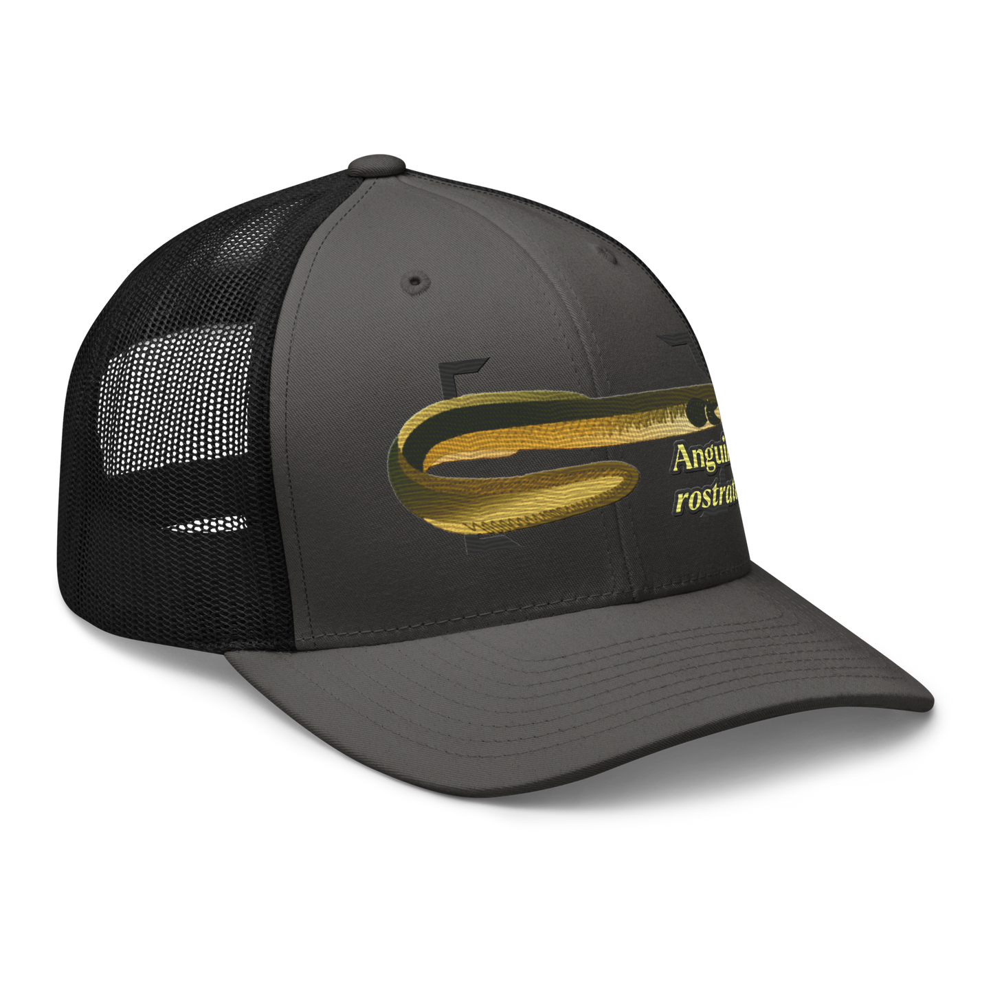 American Eel "Anguilla rostrata" Embroidered Charcoal Grey & Black Trucker Hat Right Front Mockup