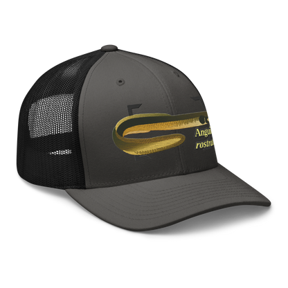 American Eel "Anguilla rostrata" Embroidered Charcoal Grey & Black Trucker Hat Right Front Mockup