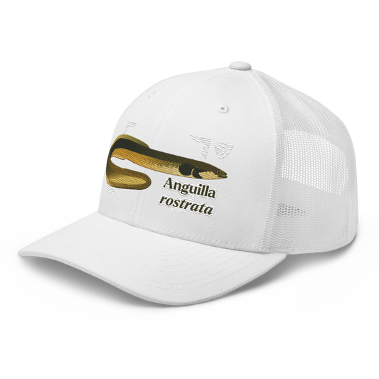 American Eel "Anguilla rostrata" Embroidered White Trucker Hat Left Front Mockup