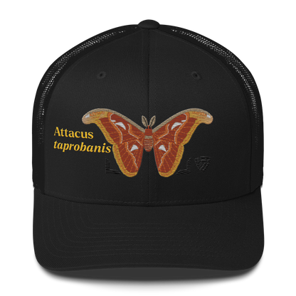 Atlas Moth "Attacus taprobanis" Embroidered Black Trucker Hat Front Mockup