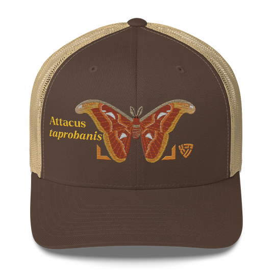 Atlas Moth "Attacus taprobanis" Embroidered Brown & Khaki Trucker Hat Front Mockup