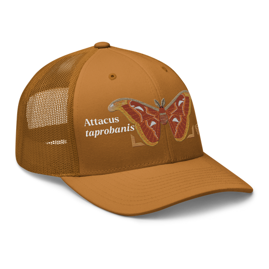 Atlas Moth "Attacus taprobanis" Embroidered Caramel Trucker Hat Right Front Mockup