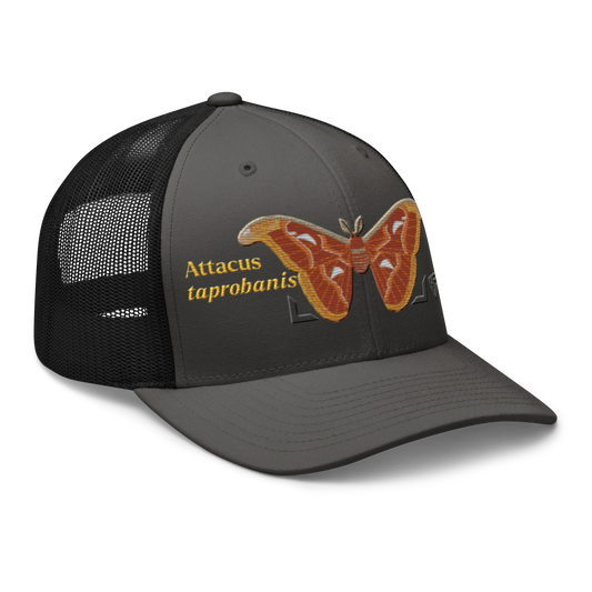 Atlas Moth "Attacus taprobanis" Embroidered Charcoal Grey & Black Trucker Hat Right Front Mockup