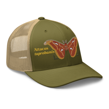 Atlas Moth "Attacus taprobanis" Embroidered Moss Green & Khaki Trucker Hat Right Front Mockup