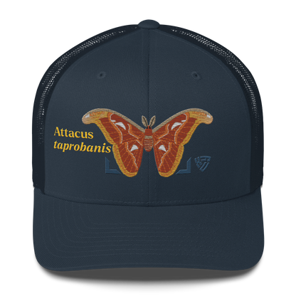 Atlas Moth "Attacus taprobanis" Embroidered Navy Blue Trucker Hat Front Mockup