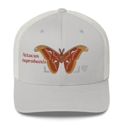 Atlas Moth "Attacus taprobanis" Embroidered Silver Trucker Hat Front Mockup
