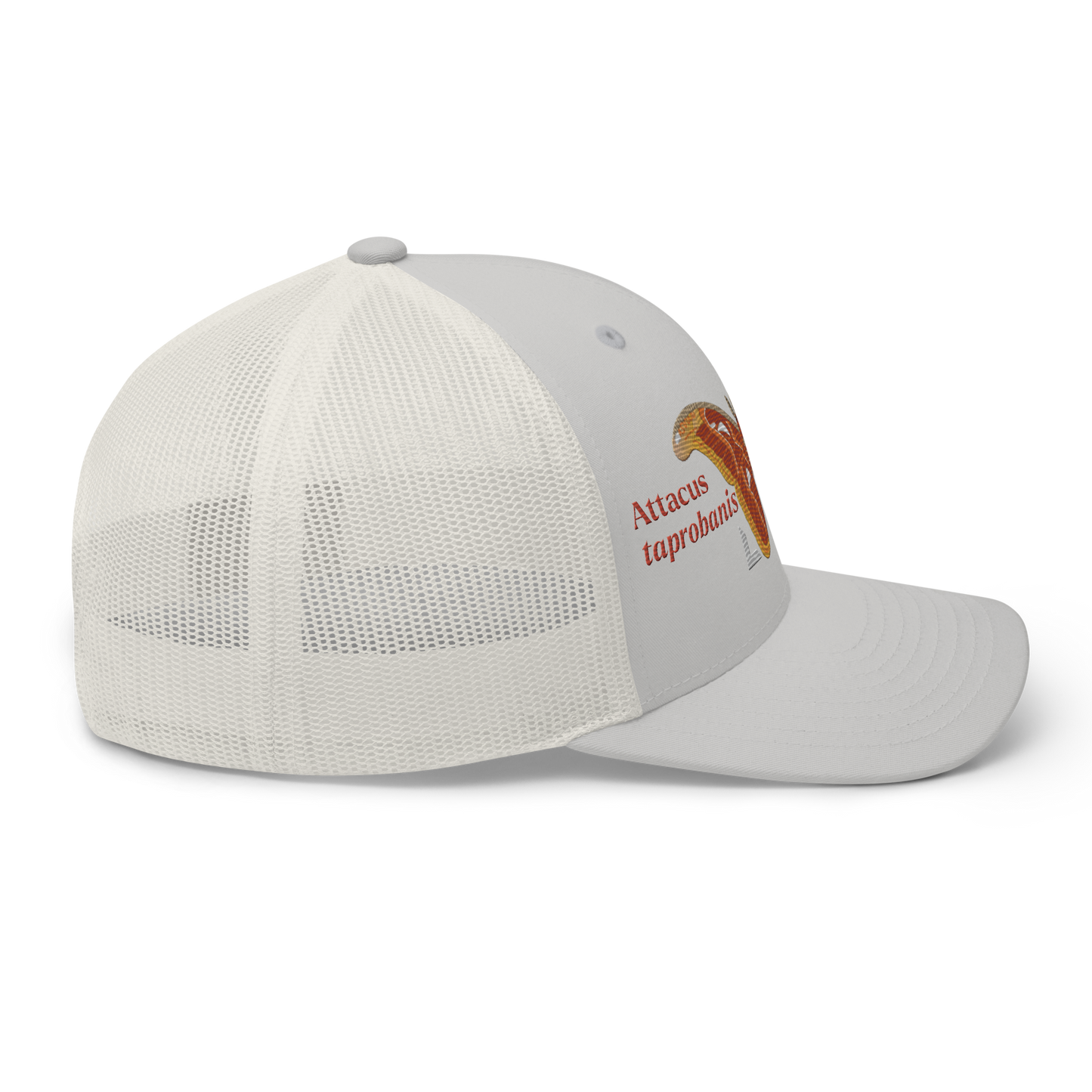 Atlas Moth "Attacus taprobanis" Embroidered Silver Trucker Hat Right Mockup