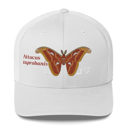 Atlas Moth "Attacus taprobanis" Embroidered White Trucker Hat Front Mockup