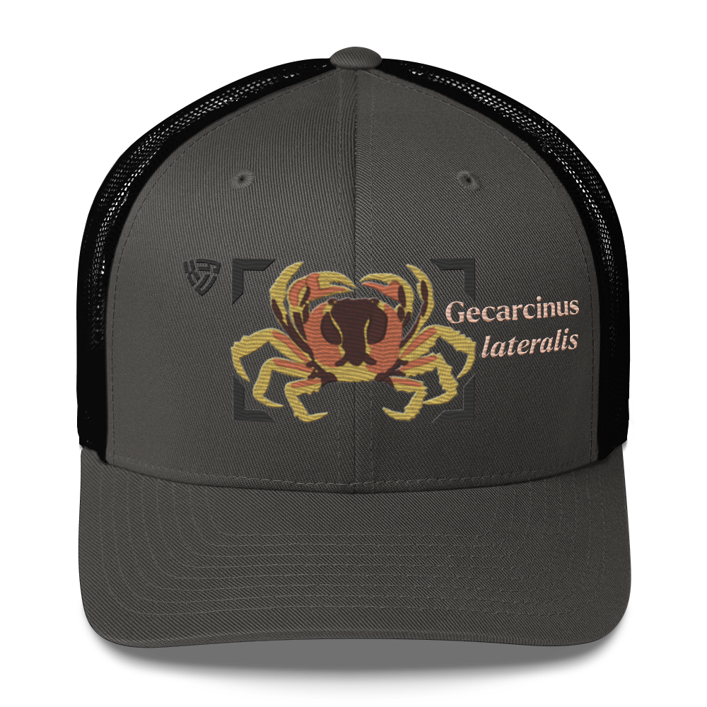 Blackback Land Crab "Gecarcinus lateralis" Embroidered Charcoal Grey & Black Trucker Hat Front Mockup