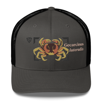 Blackback Land Crab "Gecarcinus lateralis" Embroidered Charcoal Grey & Black Trucker Hat Front Mockup