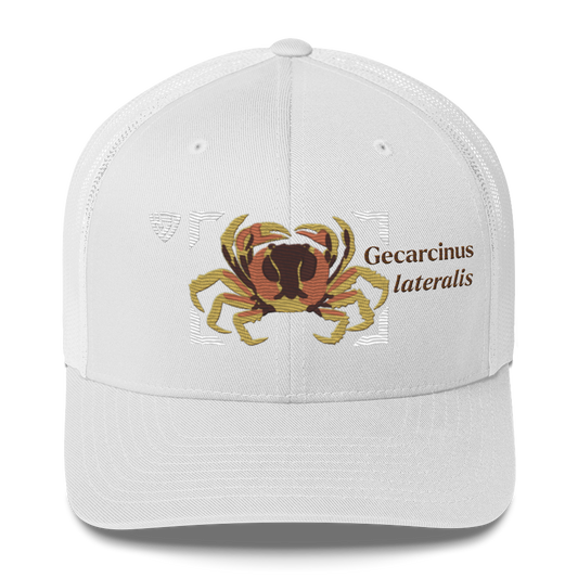 Blackback Land Crab "Gecarcinus lateralis" Embroidered White Trucker Hat Front Mockup