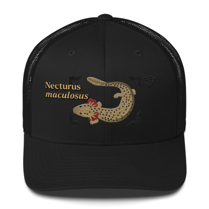 Common Mudpuppy "Necturus maculosus" Embroidered Black Trucker Hat Front Mockup