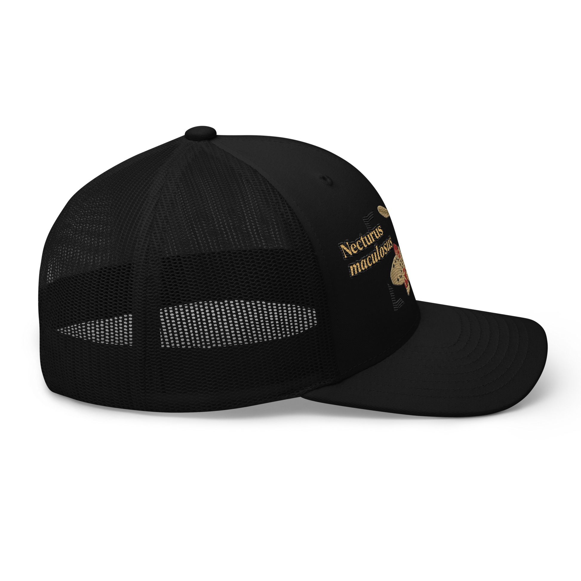Common Mudpuppy "Necturus maculosus" Embroidered Black Trucker Hat Right Mockup