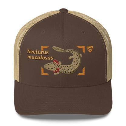 Common Mudpuppy "Necturus maculosus" Embroidered Brown & Khaki Trucker Hat Front Mockup