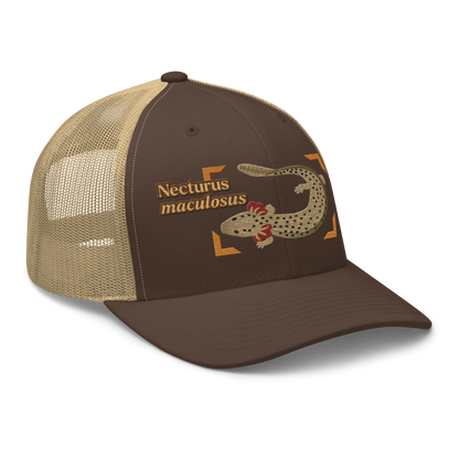 Common Mudpuppy "Necturus maculosus" Embroidered Brown & Khaki Trucker Hat Right Front Mockup