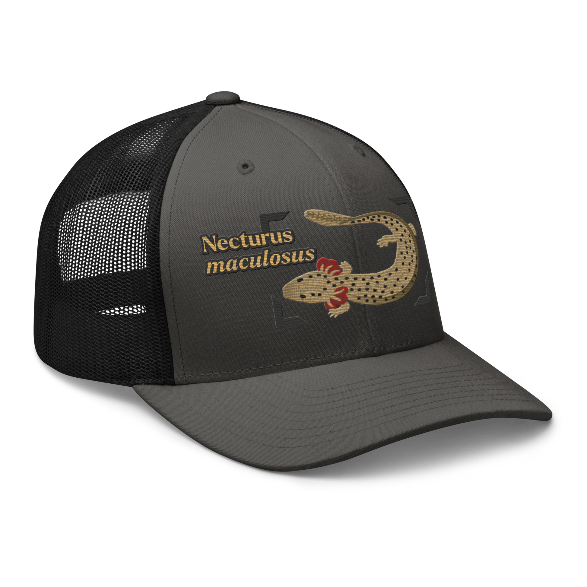 Common Mudpuppy "Necturus maculosus" Embroidered Charcoal Grey & Black Trucker Hat Right Front Mockup