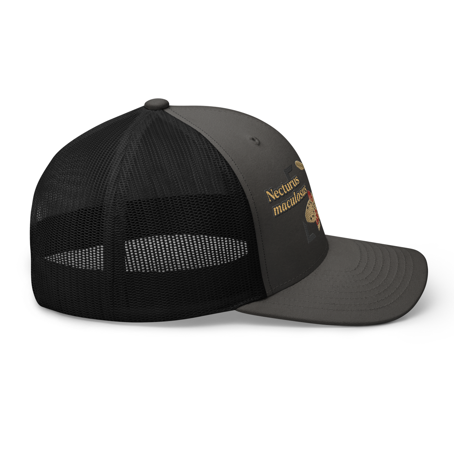 Common Mudpuppy "Necturus maculosus" Embroidered Charcoal Grey & Black Trucker Hat Right Mockup