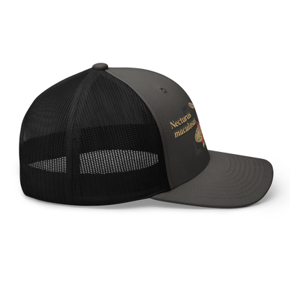 Common Mudpuppy "Necturus maculosus" Embroidered Charcoal Grey & Black Trucker Hat Right Mockup