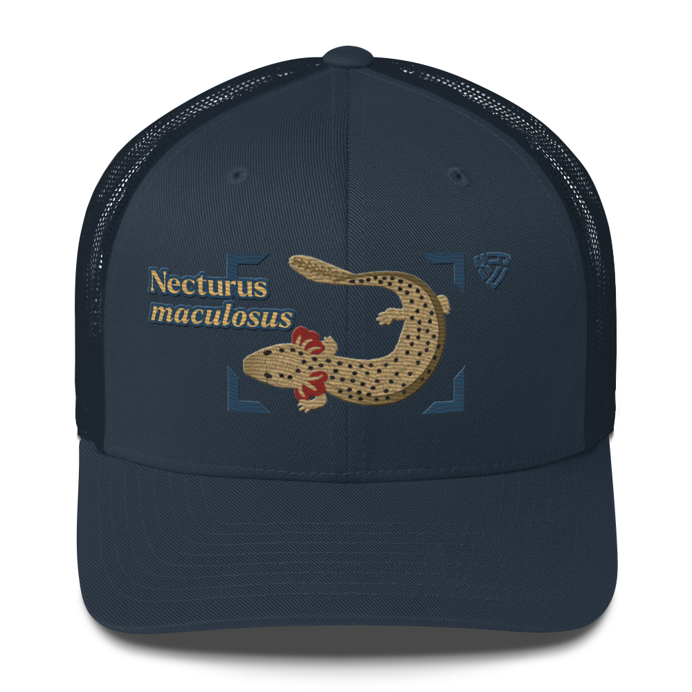 Common Mudpuppy "Necturus maculosus" Embroidered Navy Blue Trucker Hat Front Mockup