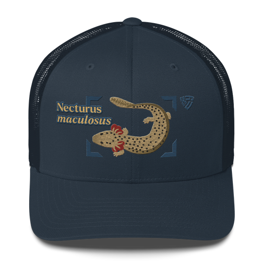 Common Mudpuppy "Necturus maculosus" Embroidered Navy Blue Trucker Hat Front Mockup