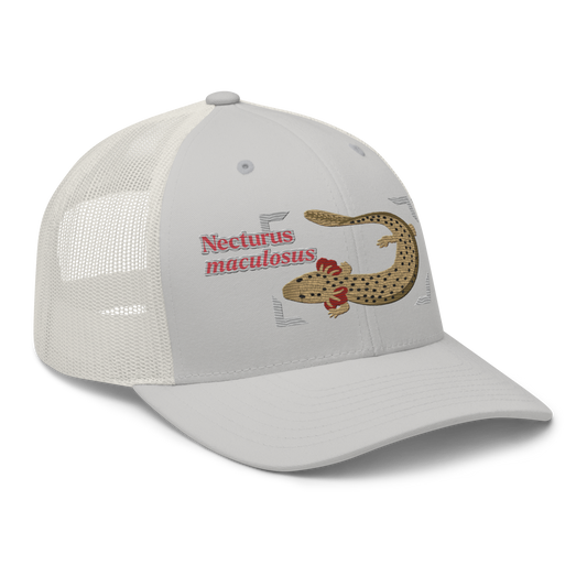 Common Mudpuppy "Necturus maculosus" Embroidered Silver Trucker Hat Right Front Mockup