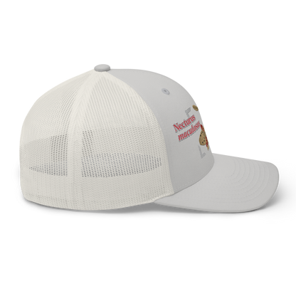 Common Mudpuppy "Necturus maculosus" Embroidered Silver Trucker Hat Right Mockup