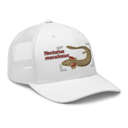 Common Mudpuppy "Necturus maculosus" Embroidered White Trucker Hat Right Front Mockup