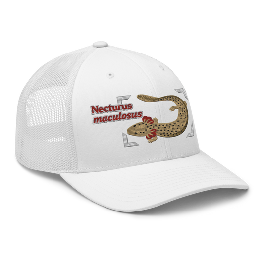 Common Mudpuppy "Necturus maculosus" Embroidered White Trucker Hat Right Front Mockup