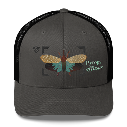 Lanternfly "Pyrops effusa" Embroidered Charcoal Grey & Black Trucker Hat Front Mockup